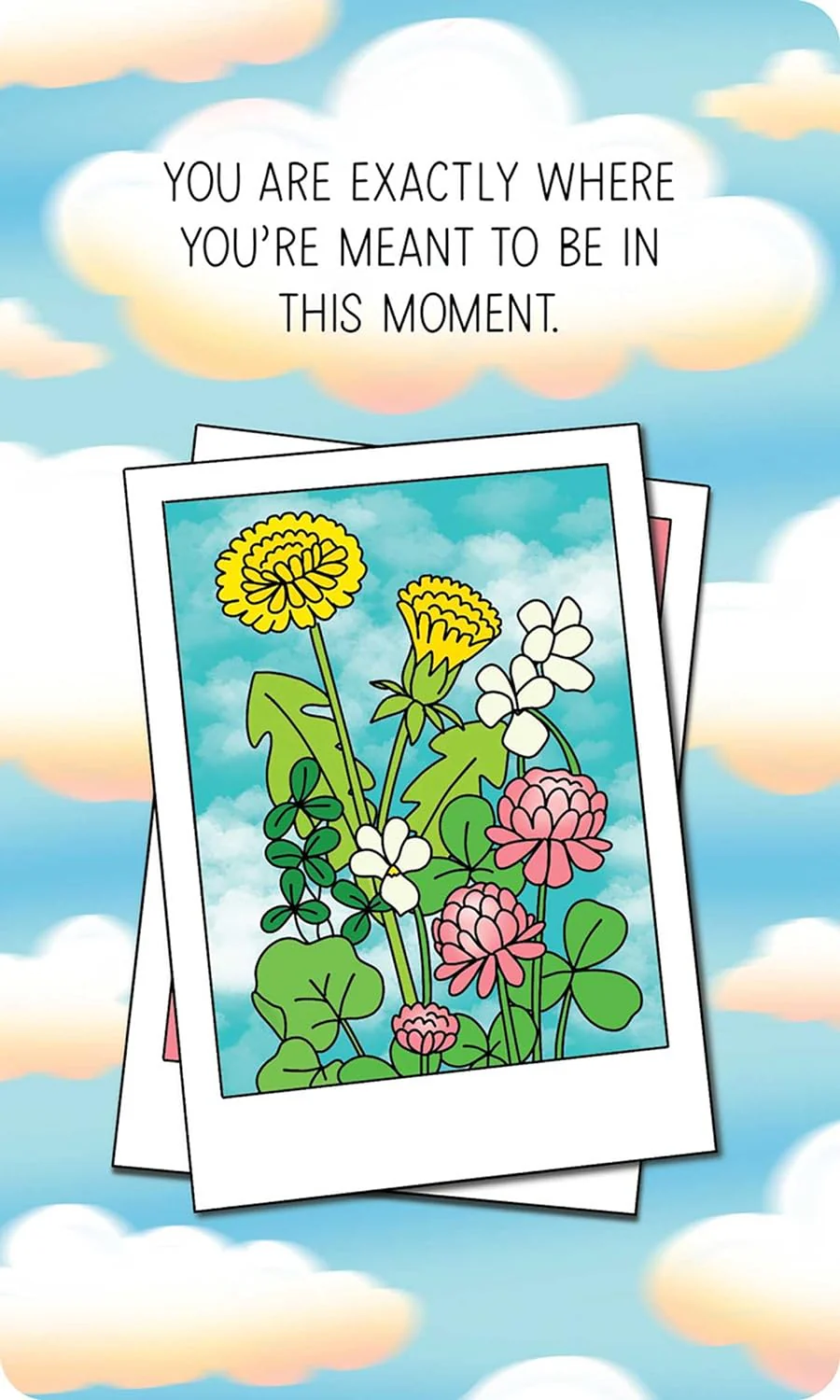 Take What You Need - An Affirmation Deck for Tuning in to Your Inner Voice (By Dani DiPirro) - Image 6